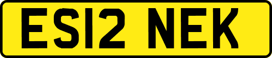 ES12NEK