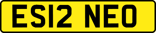 ES12NEO