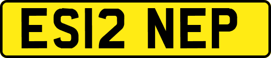 ES12NEP