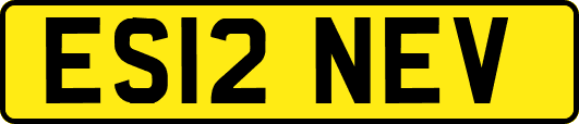 ES12NEV