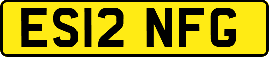 ES12NFG