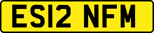 ES12NFM