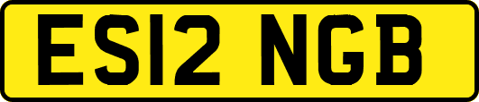 ES12NGB