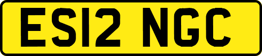 ES12NGC