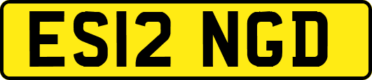 ES12NGD