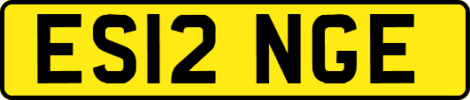 ES12NGE