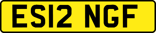 ES12NGF