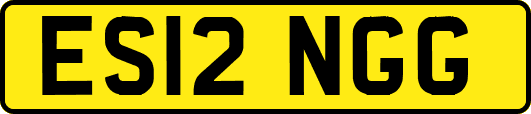 ES12NGG