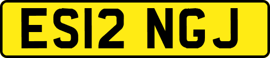 ES12NGJ