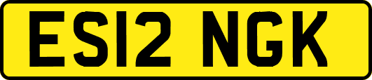 ES12NGK
