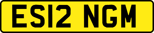 ES12NGM