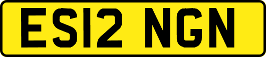 ES12NGN