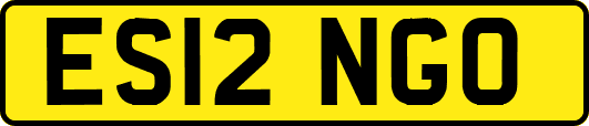 ES12NGO