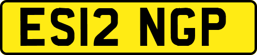 ES12NGP