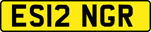 ES12NGR