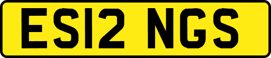 ES12NGS