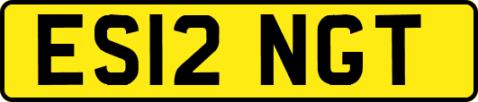 ES12NGT