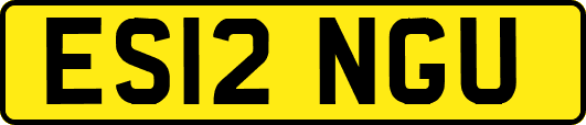 ES12NGU