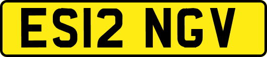 ES12NGV