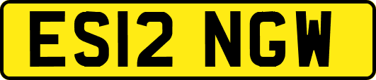 ES12NGW