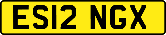 ES12NGX