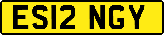 ES12NGY
