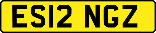 ES12NGZ