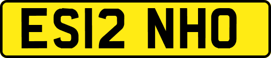 ES12NHO
