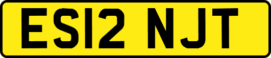 ES12NJT