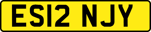 ES12NJY