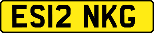ES12NKG