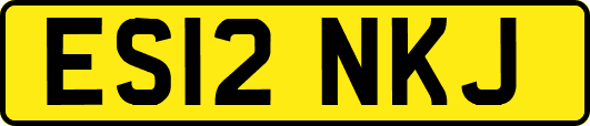 ES12NKJ