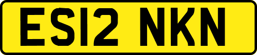 ES12NKN