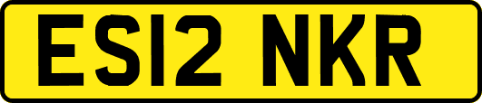 ES12NKR