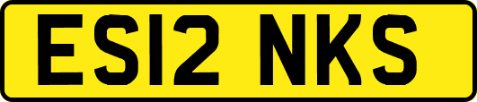 ES12NKS