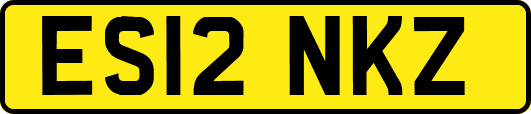 ES12NKZ