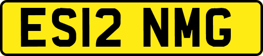 ES12NMG