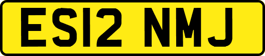 ES12NMJ
