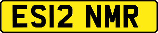ES12NMR