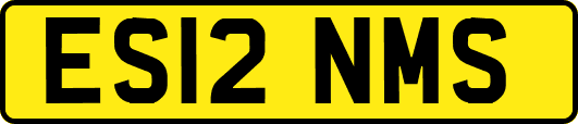 ES12NMS