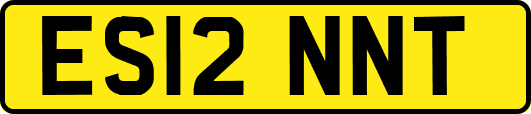 ES12NNT