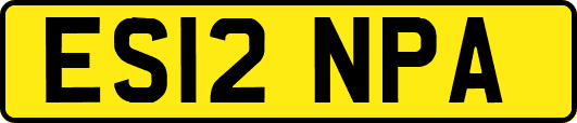 ES12NPA