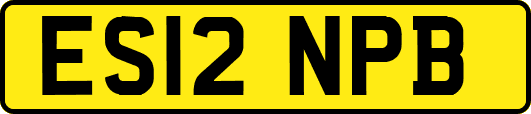 ES12NPB