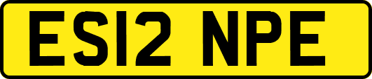 ES12NPE