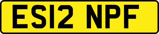 ES12NPF