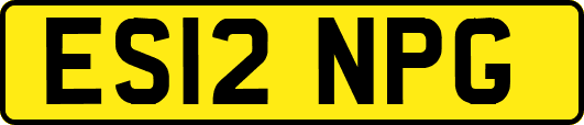 ES12NPG