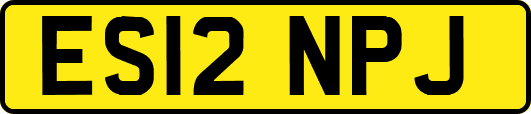 ES12NPJ