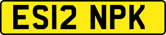 ES12NPK
