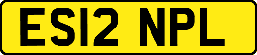 ES12NPL