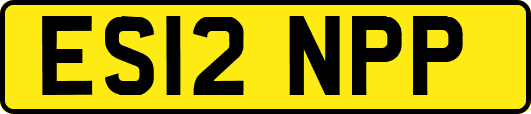 ES12NPP